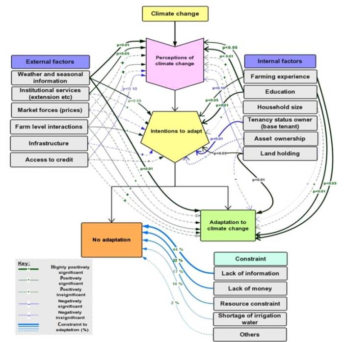 Schematic framework of farmers’ adaptation process in Pakistan.